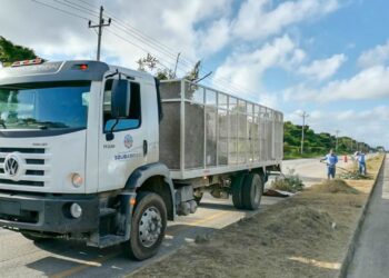 Mantienen carreteras limpias en Solidaridad