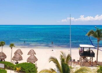Costas de Playa del Carmen lucen espectaculares para esta Navidad; piden a locales y turistas cuidarlas