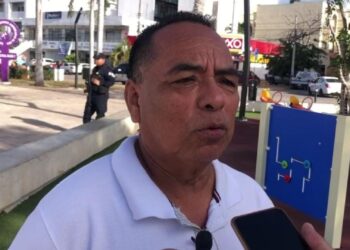 Activistas defenderán que candidaturas indígenas no sean usurpadas por los partidos políticos