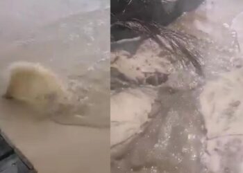 Denuncian rebose de aguas negras en las calles 4 y 6 de Playa del Carmen