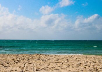Visita las costas de Playa del Carmen que quedaron aún más limpias gracias al frente frío 31