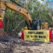 Ambientalistas se manifestarán para exigir se cumpla la ley en el Tramo 5 Sur del Tren Maya