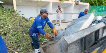 Campañas en Playa del Carmen mantienen a raya el dengue