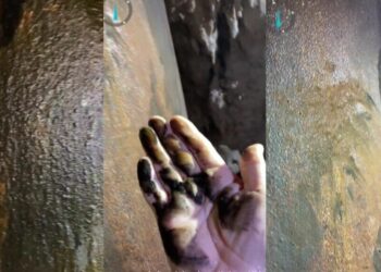 Corrosión de más de 15 mil pilotes del Tren Maya contaminará el acuífero de Quintana Roo