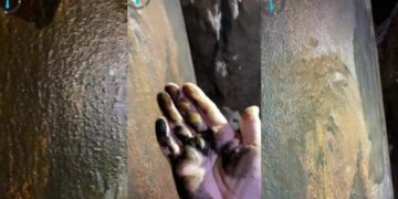 Corrosión de más de 15 mil pilotes del Tren Maya contaminará el acuífero de Quintana Roo