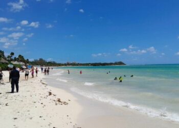 Refuerzan servicios públicos en zona turística de Playa del Carmen