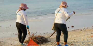 Apoyan proyecto para aprovechamiento del sargazo