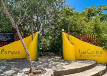 Buscan comodato del Parque La Ceiba de Playa del Carmen por 15 años