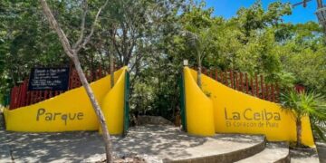 Buscan comodato del Parque La Ceiba de Playa del Carmen por 15 años