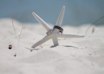 Cada vez más parejas vienen a casarse a Playa del Carmen