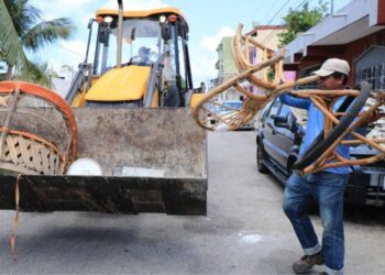 Calendario semanal de descacharrización para Playa del Carmen