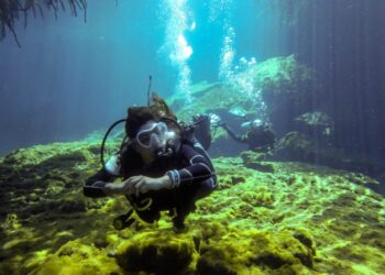 Continúa bajo análisis el proyecto para colocar arrecifes artificiales en Playa del Carmen