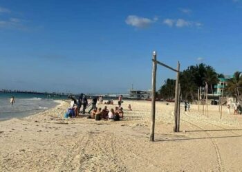 Costas de Playa del Carmen lucen espectaculares pese al recale masivo de sargazo