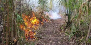 Exigen ser más responsables a ciudadanos que inician las quemas controladas en Playa del Carmen