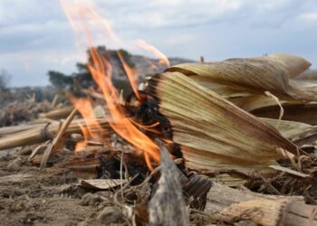 Han aumentando los incendios en Playa del Carmen, muchos han sido provocados