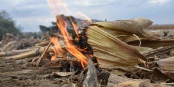 Han aumentando los incendios en Playa del Carmen, muchos han sido provocados