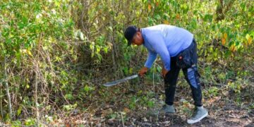 Invitan a no crear tiraderos en Playa del Carmen y reportarlos