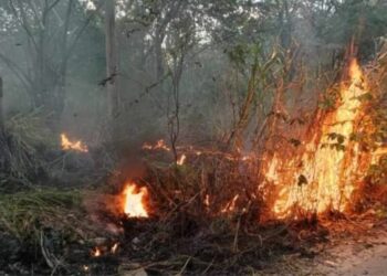 Van 40 reportes de incendios en Playa del Carmen en solo cuatro días