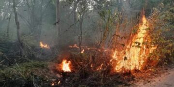 Van 40 reportes de incendios en Playa del Carmen en solo cuatro días
