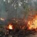 Van 40 reportes de incendios en Playa del Carmen en solo cuatro días
