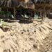Algunas costas de Playa del Carmen han sido erosionadas por las mareas altas