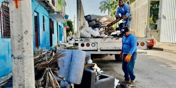Conoce dónde estará esta semana la campaña de descacharrización en Playa del Carmen