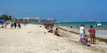 Conoce el termómetro del sargazo y disfruta de las playas