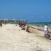 Conoce el termómetro del sargazo y disfruta de las playas