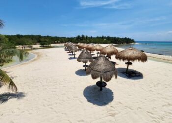 Costas limpias; van más de cinco mil toneladas de sargazo retiradas en Playa del Carmen en 2024