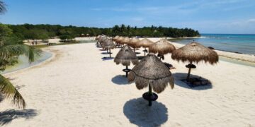 Costas limpias; van más de cinco mil toneladas de sargazo retiradas en Playa del Carmen en 2024