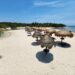 Costas limpias; van más de cinco mil toneladas de sargazo retiradas en Playa del Carmen en 2024