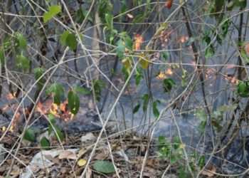 Extreme precauciones en temporada de incendios