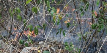 Extreme precauciones en temporada de incendios