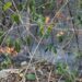Extreme precauciones en temporada de incendios