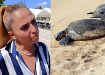 Permisos para obra en Playa Paraíso fueron entregados por exfuncionaria investigada por presuntas irregularidades