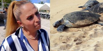 Permisos para obra en Playa Paraíso fueron entregados por exfuncionaria investigada por presuntas irregularidades