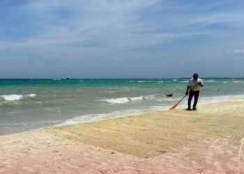 Propone Lili Campos empleos temporales para recoger el sargazo en las costas de Playa del Carmen