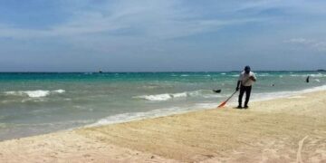 Propone Lili Campos empleos temporales para recoger el sargazo en las costas de Playa del Carmen