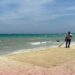 Propone Lili Campos empleos temporales para recoger el sargazo en las costas de Playa del Carmen