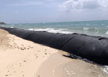 Semarnat autoriza colocación de barreras artificiales frente al Hotel Hyatt en Playa del Carmen