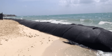 Semarnat autoriza colocación de barreras artificiales frente al Hotel Hyatt en Playa del Carmen