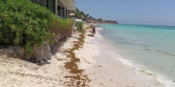 Supervisan autoridades de Playa del Carmen que obras del Hyatt no erosionen la costa