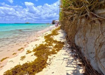 Altas temperaturas, sargazo y marea alta dificultan la limpieza de costas en Playa del Carmen