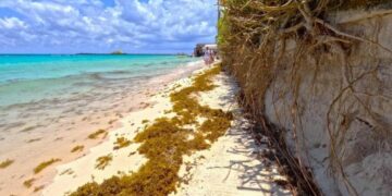 Altas temperaturas, sargazo y marea alta dificultan la limpieza de costas en Playa del Carmen