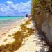 Altas temperaturas, sargazo y marea alta dificultan la limpieza de costas en Playa del Carmen