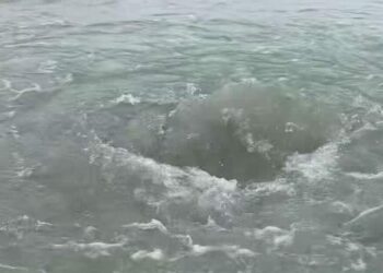 "Ojos de agua" podrían ser un nuevo atractivo turístico de Playa del Carmen