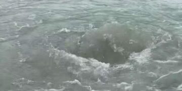 "Ojos de agua" podrían ser un nuevo atractivo turístico de Playa del Carmen