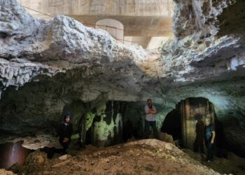 Ordena juez nueva suspensión del tramo 5 sur del Tren Maya por daños ambientales