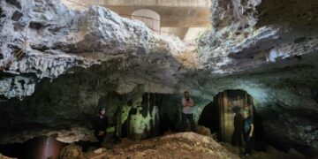 Ordena juez nueva suspensión del tramo 5 sur del Tren Maya por daños ambientales