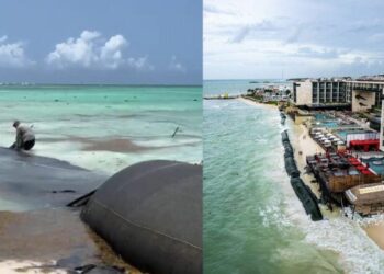 Piden ambientalistas que se retiren los geotubos del hotel Hyatt en Playa del Carmen